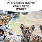 WWF Polska w Sky Tower: razem dla ochrony środowiska